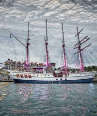 Tall Ship Adventures